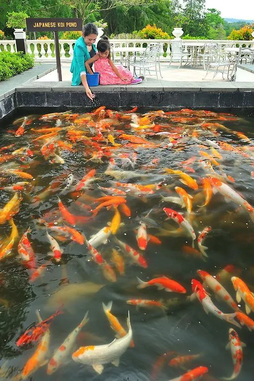 Pulai Springs Resort Official Skudai Malaysia